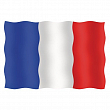 Флаг Франции гостевой из перлона/шерсти 20 x 30 см 20030-33123